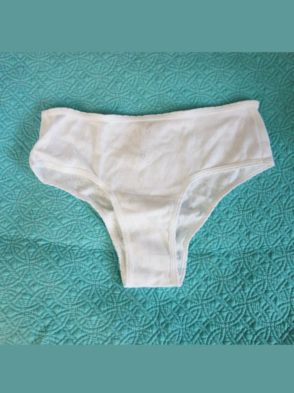 Victoria's Secret PINK Cotton CHEEKY Panty White Heart Pointelle (L) NWT!